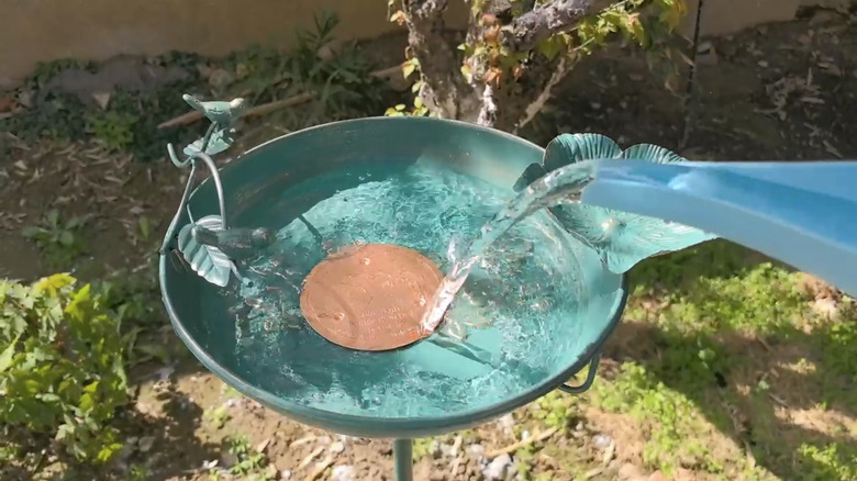 Mellbree's 12-inch Metal Freestanding Birdbath