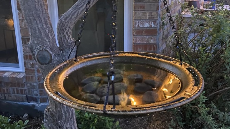 Vihsipr's 12-inch Hanging Birdbath & Feeder Bowl hanging from a tree branch