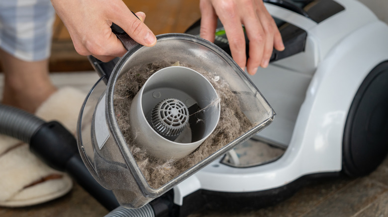 vacuum dust bin full of fur with vacuum in the background