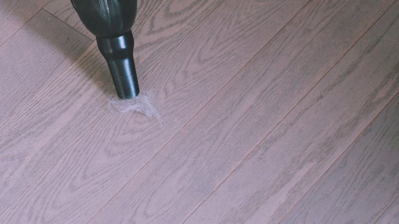 pet fur being vacuumed off of wood floor
