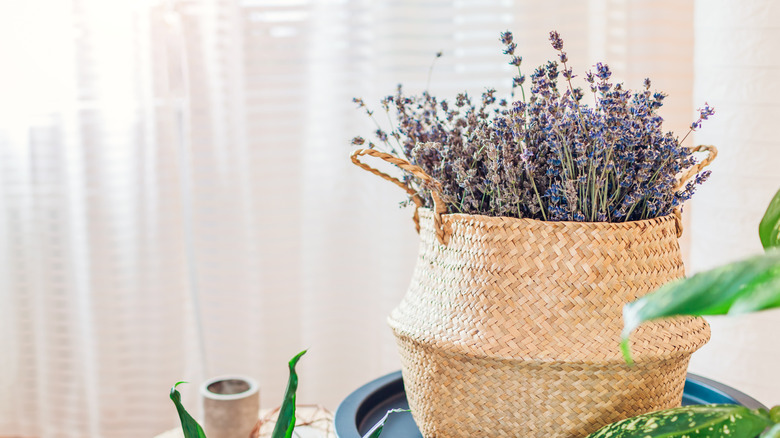 Dried lavender displayed indoors in attractive woven basket