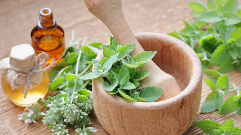 Lemon balm with a wooden mortar and pestle