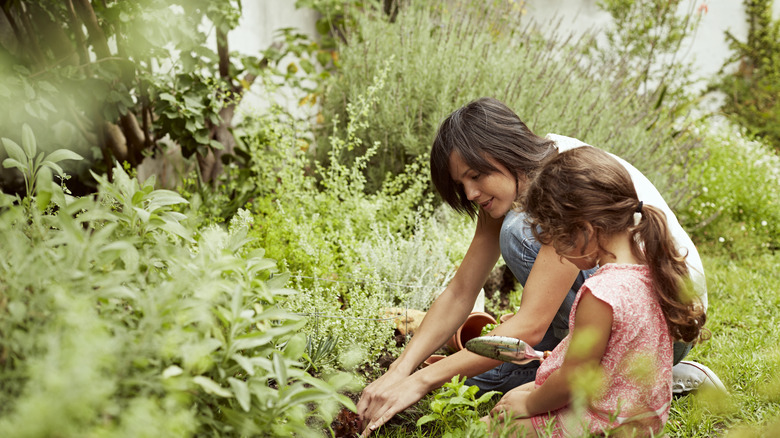 woman and girl gardening