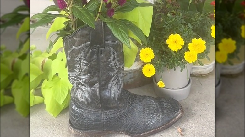 Old cowboy boot with flowers coming out the top