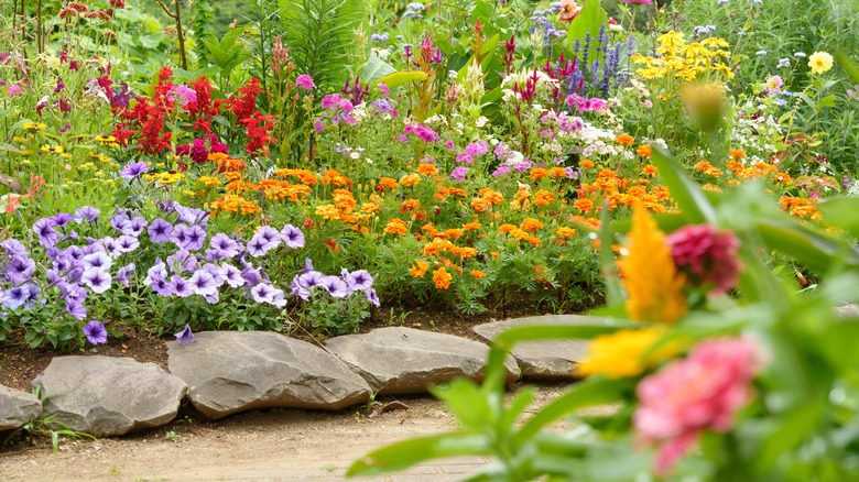 A flower bed filled with many different colorful flowers with rock border