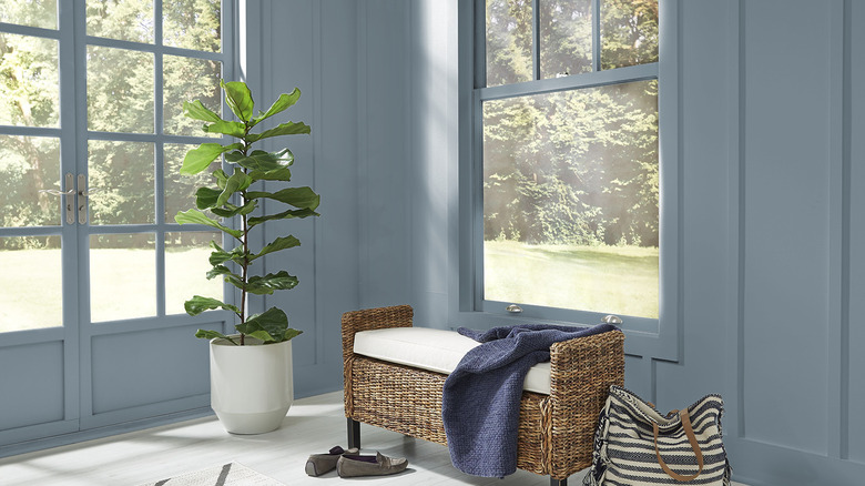 A wicker entryway bench sits next to a plant in a room that's been color-drenched with Behr Adirondack Blue