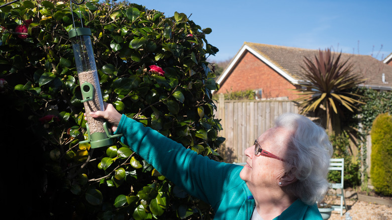 woman hanging up bird feeder
