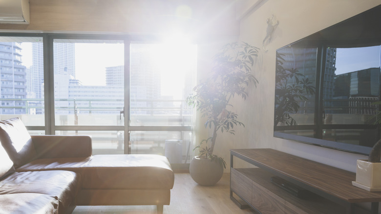 Glare on a TV from sub coming in a window.