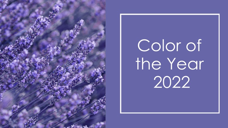 Color of the Year 2022