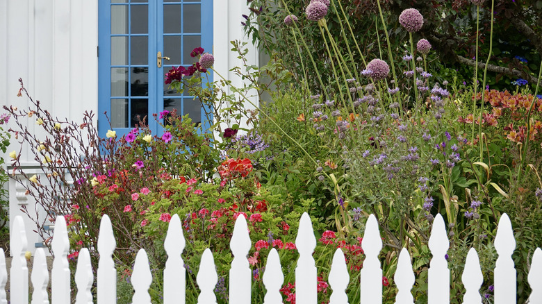 cottage garden