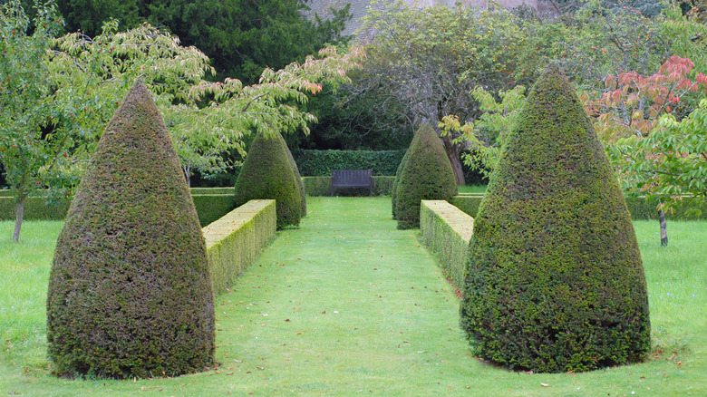 Victorian garden