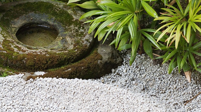Japanese garden