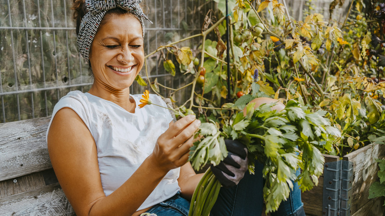 happy gardener holding tomato plants