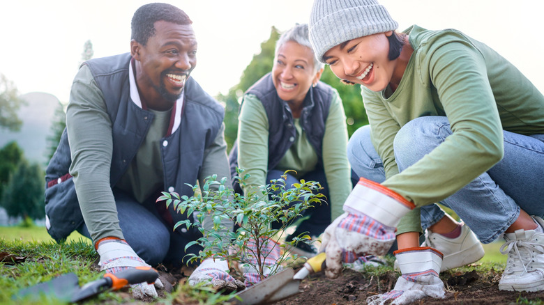 friends happily gardening together