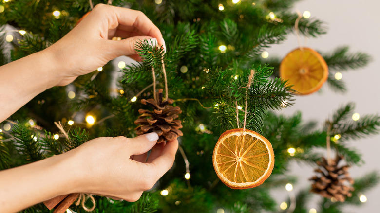 Female hands hanging pinecone decoration on a Christmas tree.