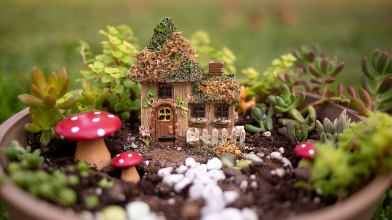Fairy garden in planter with mini house, mushrooms, and succulents