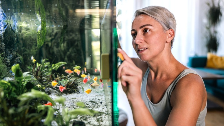 Woman viewing fish tank in living room
