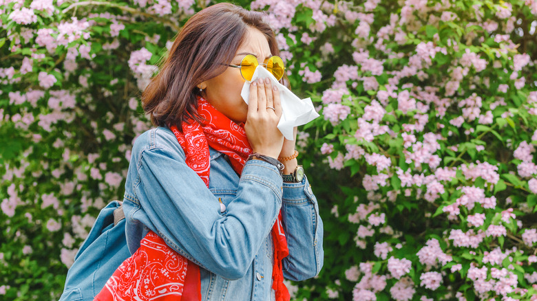 flowers affecting a person's allergies