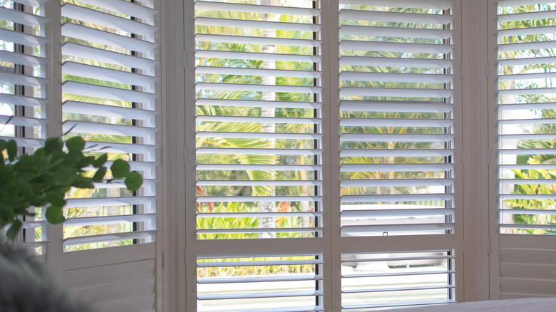 Plantation shutters on large windows