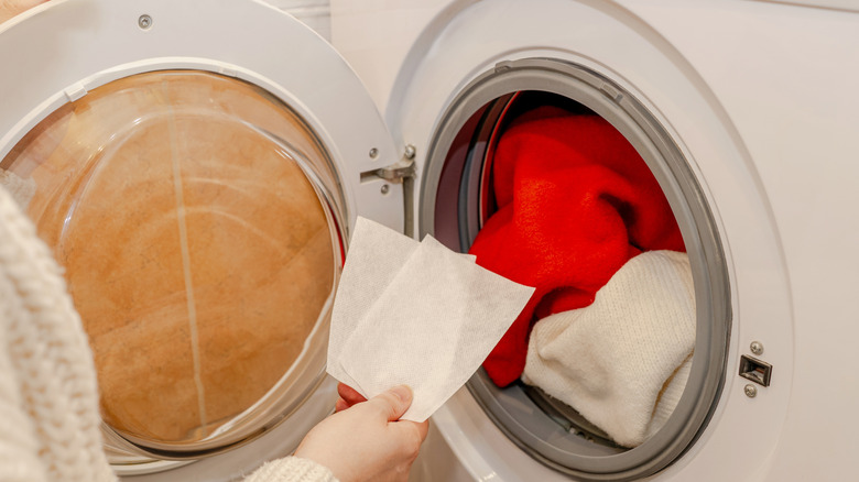 Person placing laundry detergent sheets in washing machine