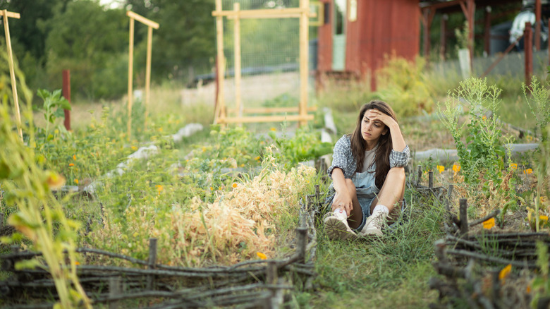 a young farmer sitting tired and stressed in her vegetable garden