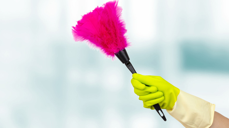 Hand holding a duster