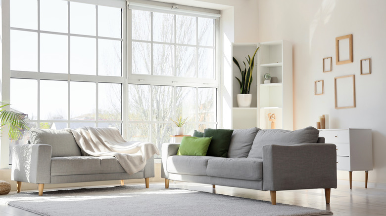 gray furniture with green cushions