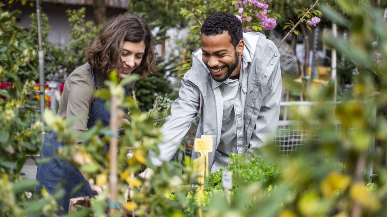 Two people work together among vibrant plants in an outdoor setting.