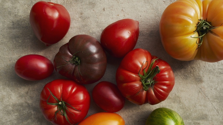 Multiple colors of heirloom tomato fruits
