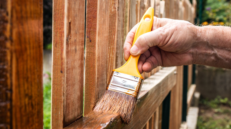painting a fence