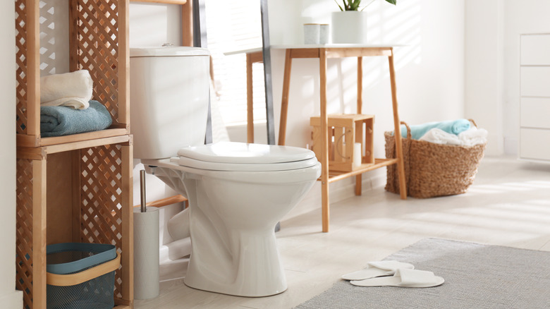 toilet in white bathroom