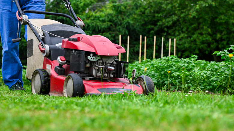 A person mowing the lawn