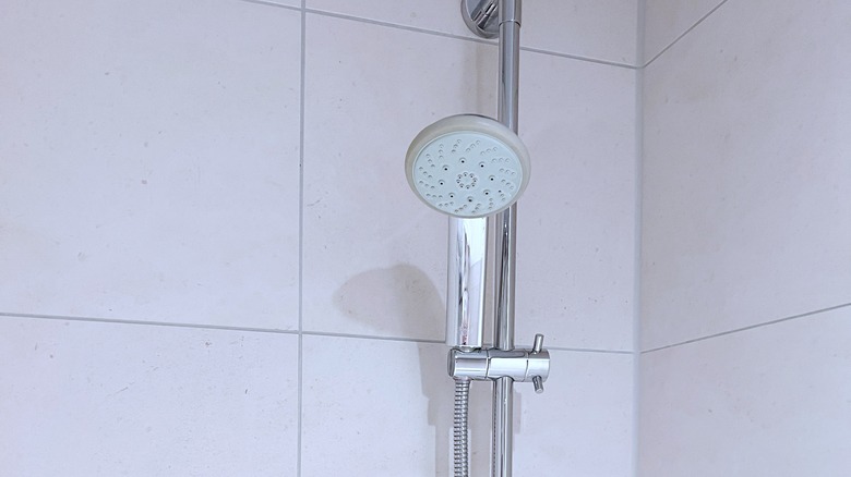 Chrome shower head