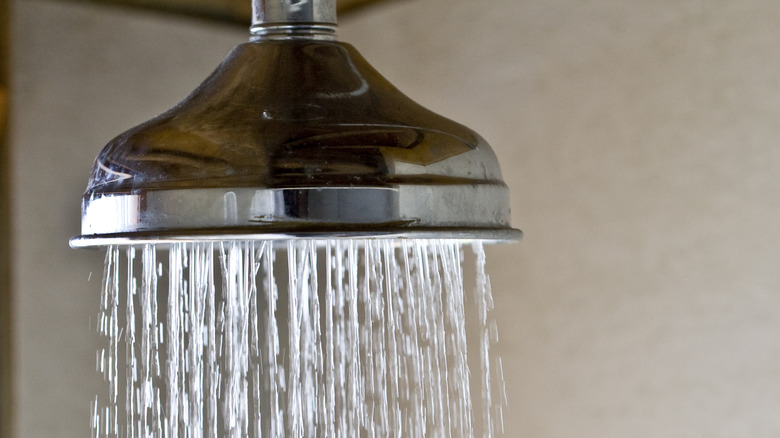 Mounted shower head 