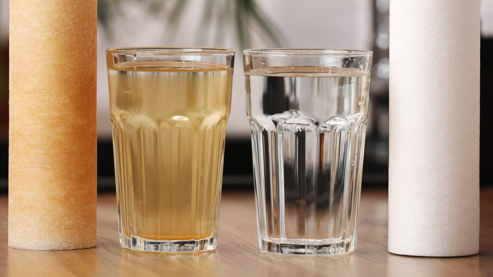 Things You Should Know About Gravity Water Filters Before Buying One