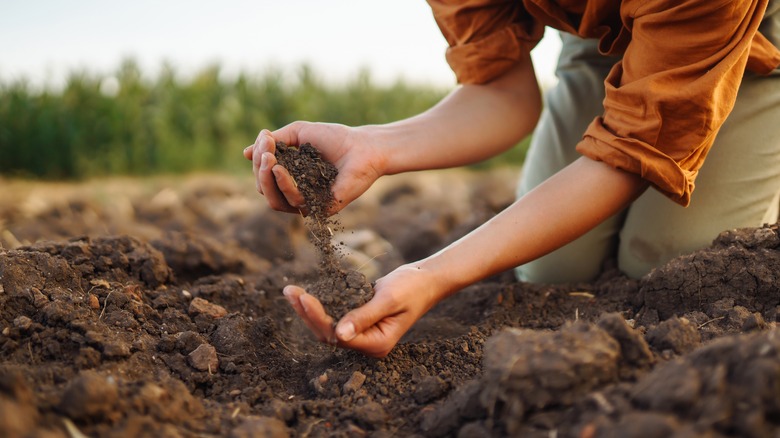 hands holding soil