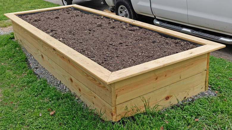 newly constructed raised bed
