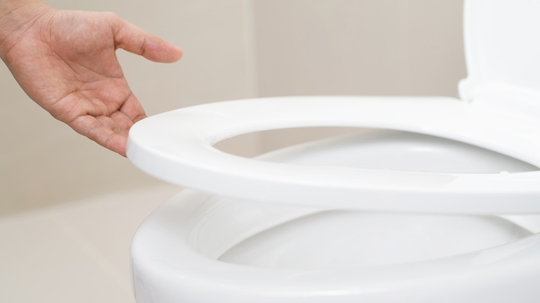 hand lifting toilet seat