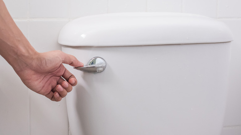 person flushing toilet