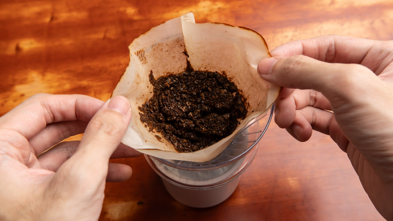 Coffee grounds in a paper filter being removed from the dripper by a pair of hands.