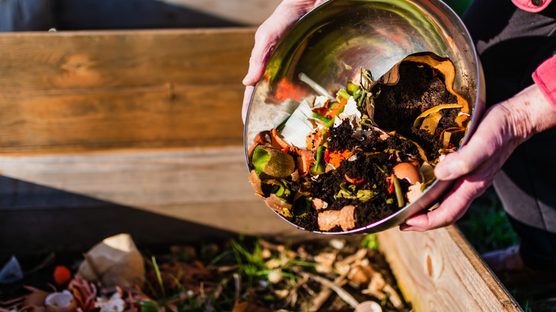 A gardener tips a steel bowl full of food scraps and coffee grounds onto a compost pile.