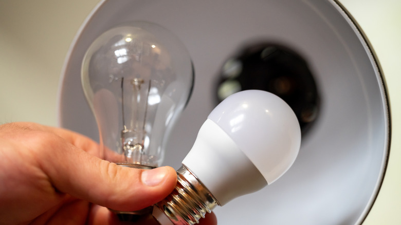 A hand holds two small lightbulbs.