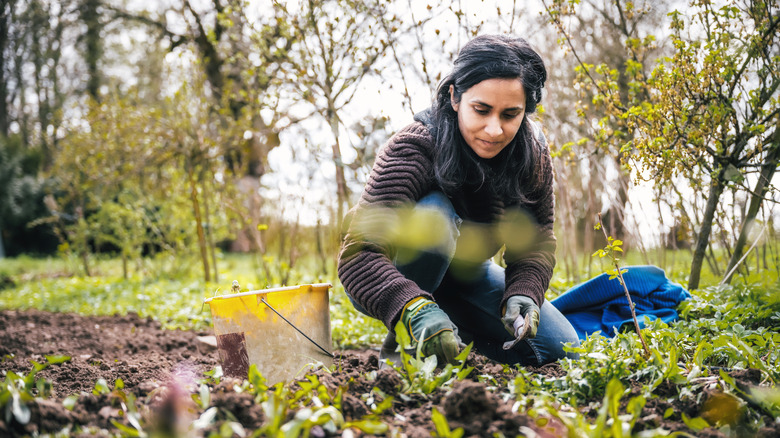 Woman kneeling and weeding garden