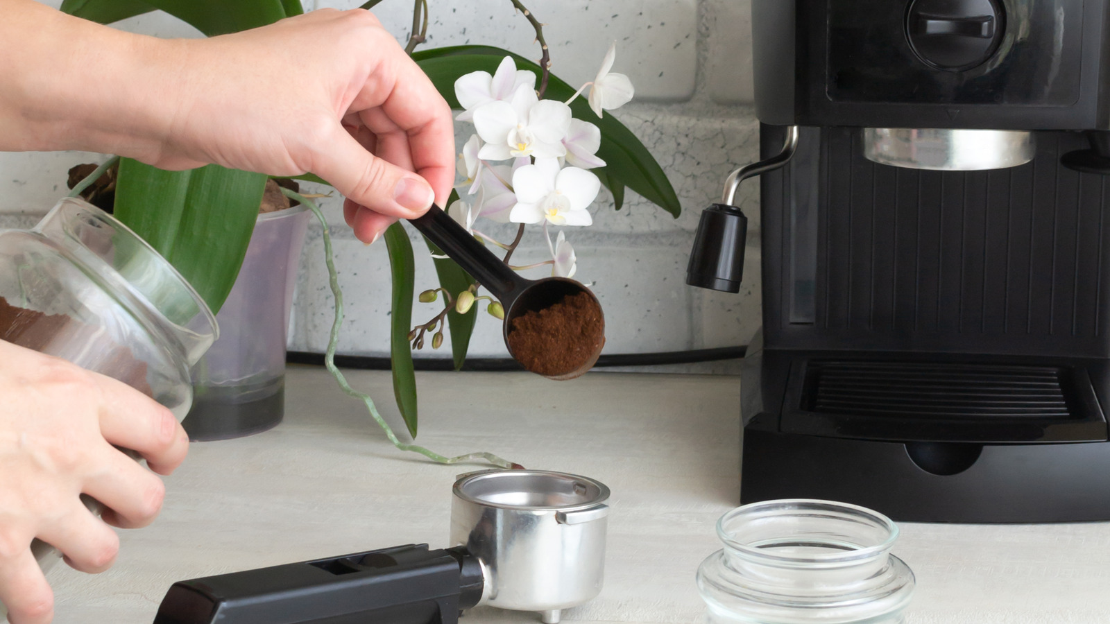 Think Twice Before Using Coffee Grounds To Fertilize Your Orchids
