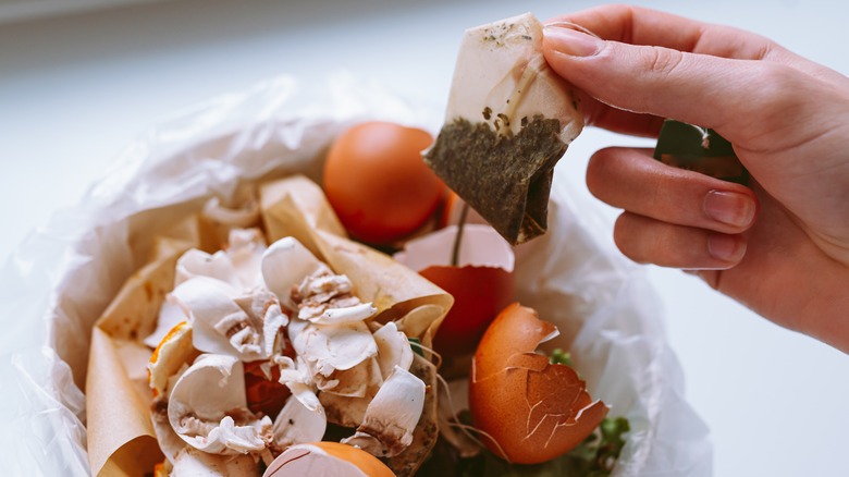 A hand holding a tea bag over a compost bin full of egg shells and other food waste