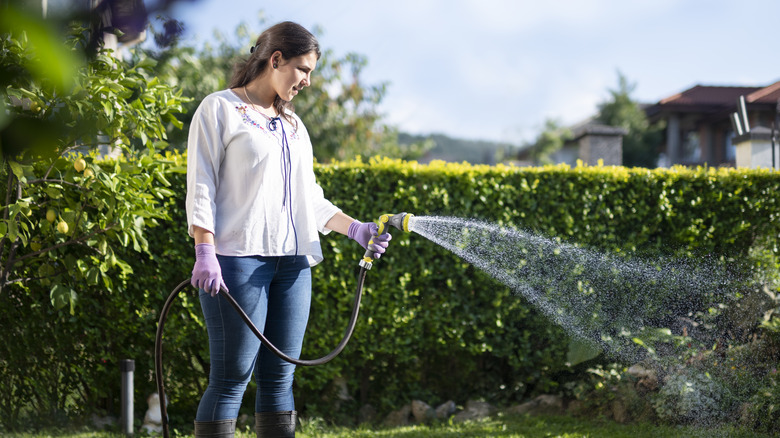 A woman watering her yard 