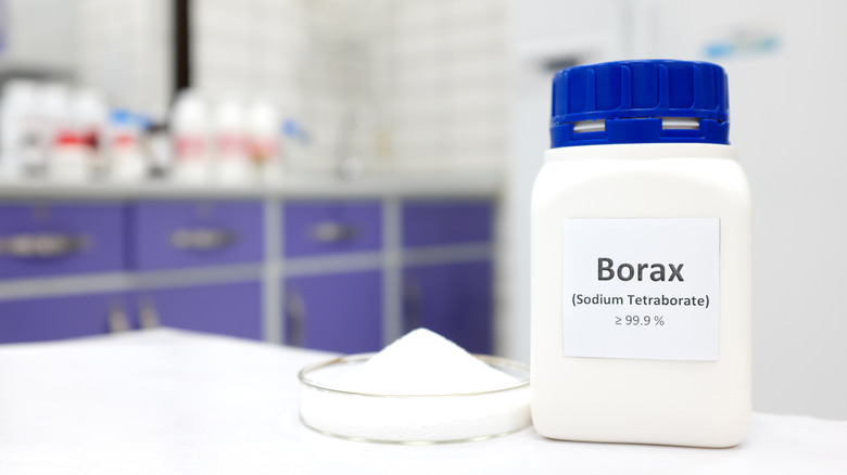 Jar of borax beside a petri dish