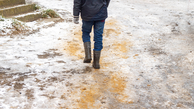 person walking on sanded pathway