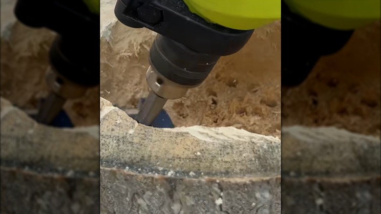 A drill with a forstner bit chips out wood from a tree trunk piece.