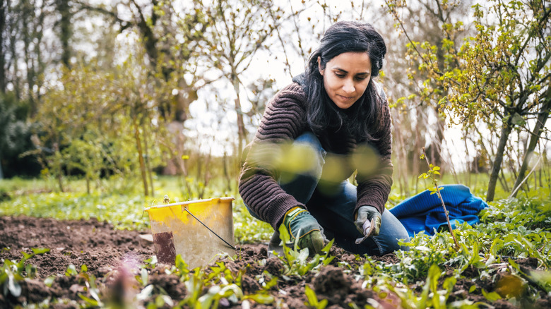 Person squatting to pull weeds in the garden